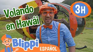 Blippi explora Hawái desde las alturas| Blippi Español | Videos educativos para niños