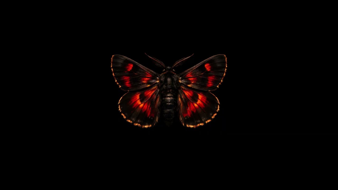 Серёжа Смоуказ, tred honey - День ок