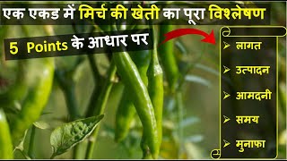 एक एकड़ मिर्च की खेती में लागत, आमदनी और प्रॉफिट की पूरी जानकारी | Green Chili Farming In India