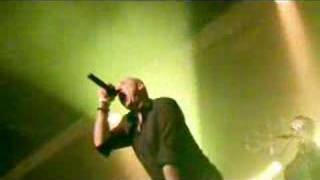 Wingenfelder live - Idiots &amp; Swindler
