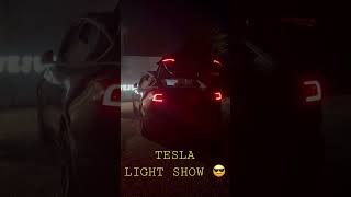 Tesla Model Y Light Show