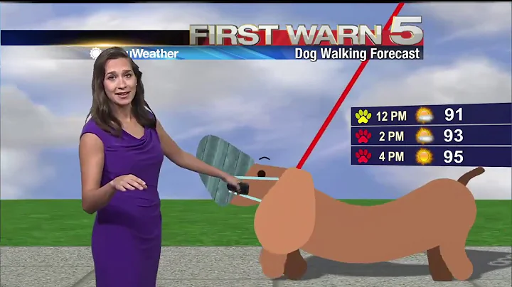 Noon Weather Forecast for August 4, 2020