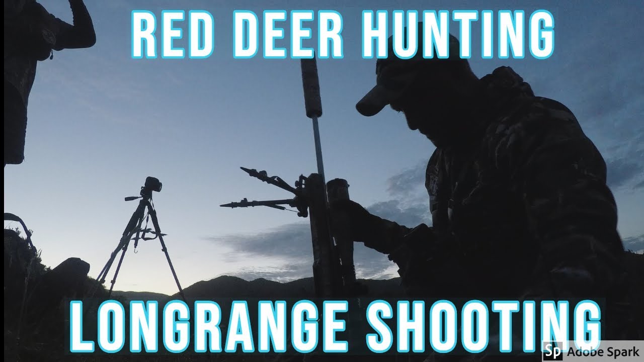 Red Deer Hunting New Zealand Public Land 8 Dec 2018 YouTube