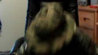 Red Wolf Airsoft entry