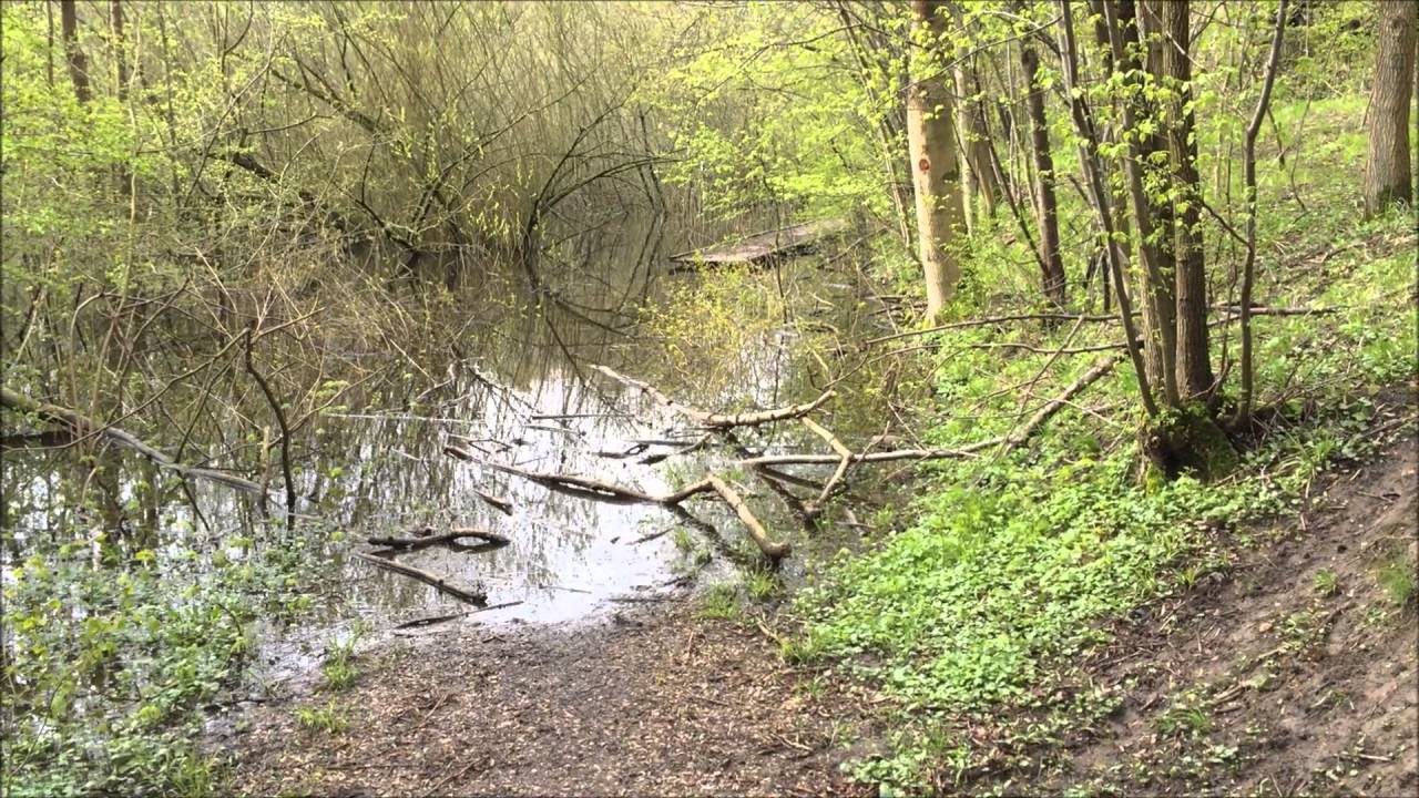 Ulvedalen bygholm Horsens