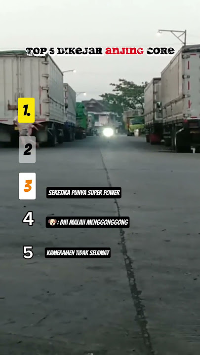 Top 5 Dikejar Anjing Core #lucu