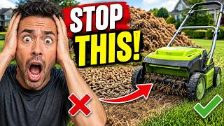 7 Dethatching Mistakes That Can Ruin Your Lawn