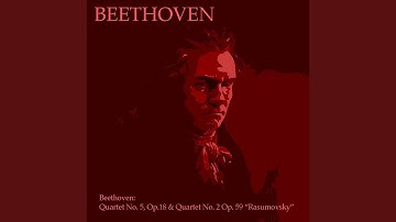 Quartet in E Minor, Op. 59, No. 2: I. Allegro Rasumovsky