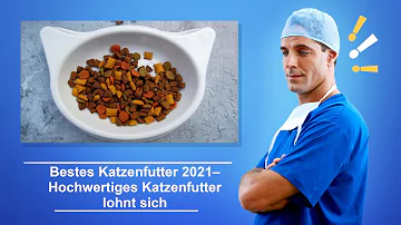 Welches Katzenfutter ist das beste und gesündeste?