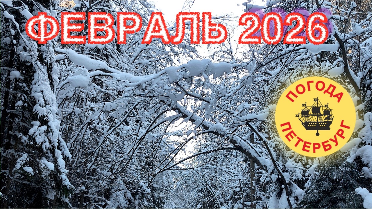 2026.02.28. Погода Петербург. 08:54. +1° Проверил как почищен город.