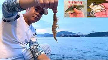 Cách câu cá biển hiệu quả nhất . Dạy câu cá và cái kết bất ngờ