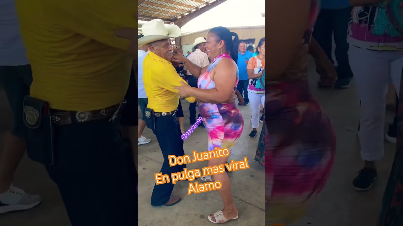 Flea From Alamo Texas Lol Music Cumbia Cumbias Youtubeshorts Dance Shiv Indi G L Trending