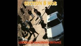 Section 8 Mob – F**k You N*gga!
