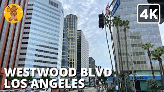 Westwood Blvd, Los Angeles Walking Tour, California USA | {4k} 🔊 Binaural Sound