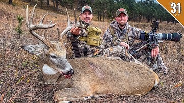 SPOT and STALK!!! Shot Him Out of His Bed at 20 Yards!