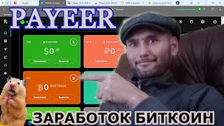 ЗАРАБОТОК БИТКОИН на PAYEER КОШЕЛЬКЕ