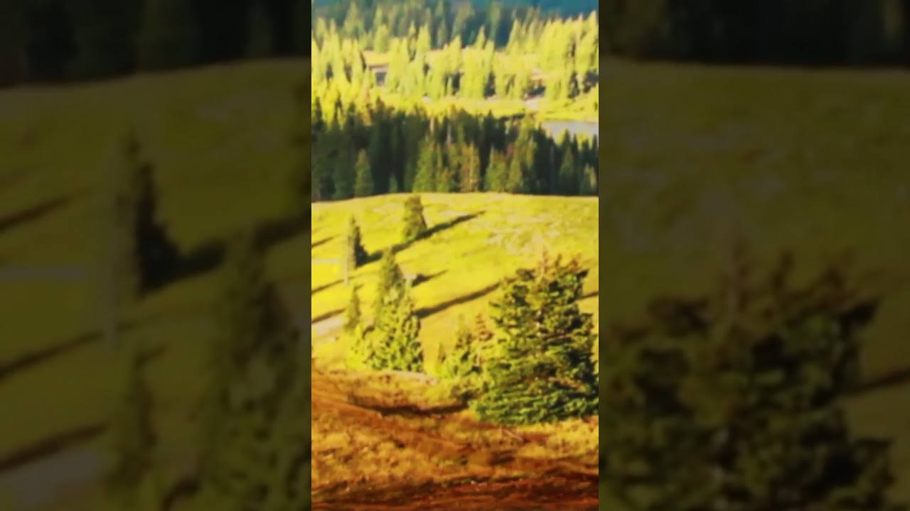 Stop Motion Background Ideas!!! 