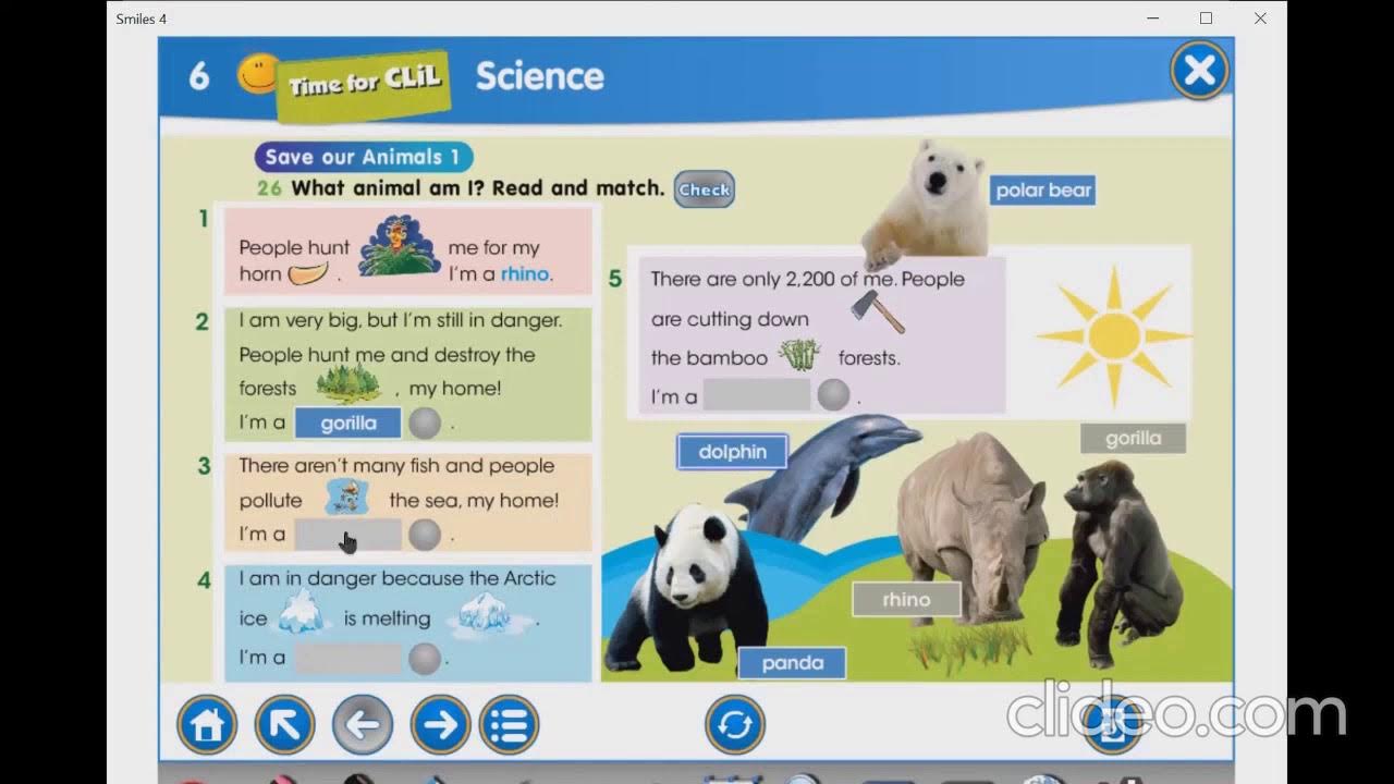 Protect animals craft. Take care of animals. презентация на тему protecting animals. Birds are our friends. Our animals.