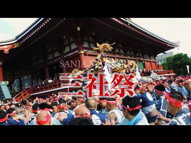 三社祭〈浅草神社例大祭〉本社神輿宮出し ＊氏子宮出し／一般宮出し