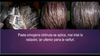 Vopsirea Cu Noul Color Expert De La Schwarzkopf