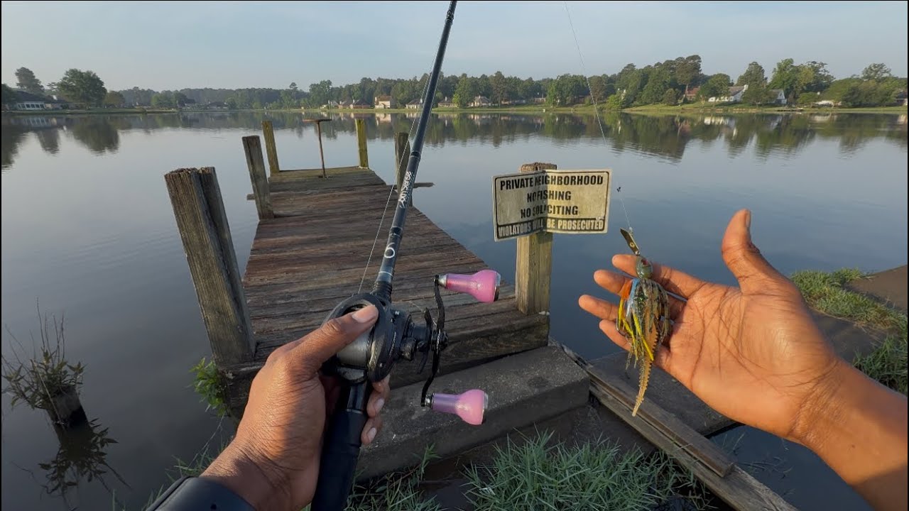 Chasing after giant bass in a loaded HOA trophy pond #fishing #bassfishing #fishingvideo #fish