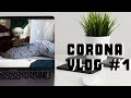 Corona Vlog #1, Productive Work From Home Activities