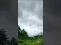 #nature #youtubeshorts #naturelovers #shorts #naturebeauty #shortsvideo #shortsfeed #short