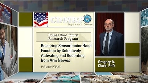 Restoring Sensorimotor Hand Function by Selectively Activating and Recording from Arm Nerves