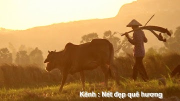 Hoàng hôn buông xuống trên cánh đồng phía sau làng Phnom Pi, Châu Lăng, Tri Tôn, An Giang 06/12/2020