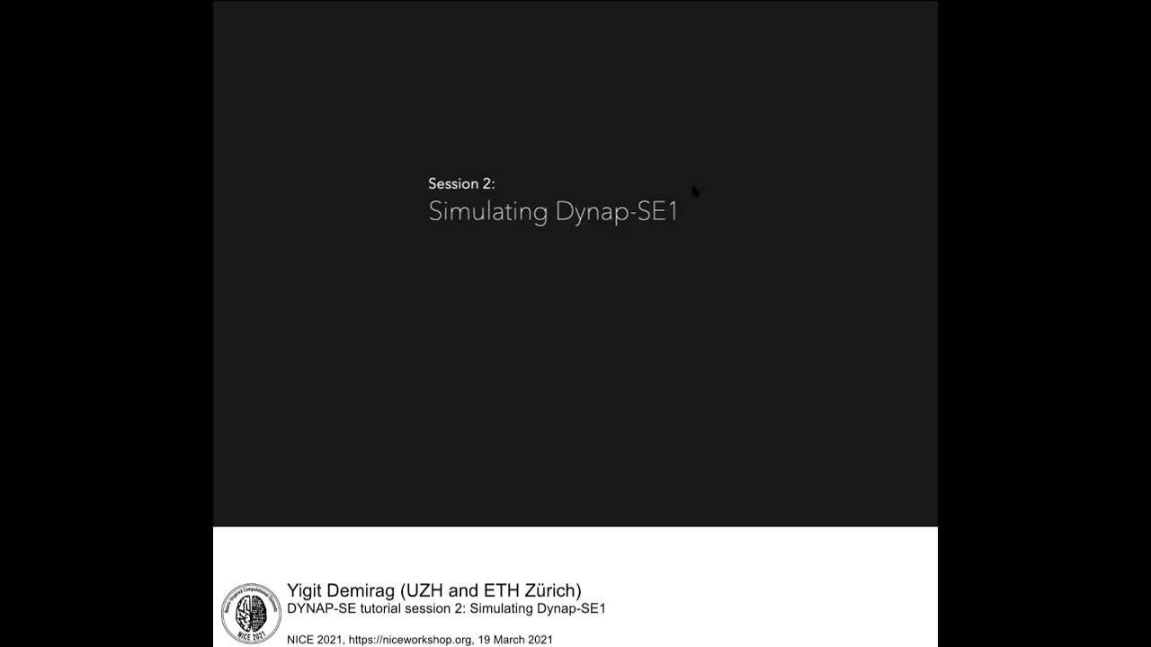 Simulating Dynap-SE1 | Yigit Demirag | 2021