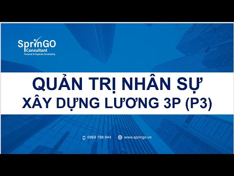 Video Lương P3 đánh giá hiệu quả công việc - youtube