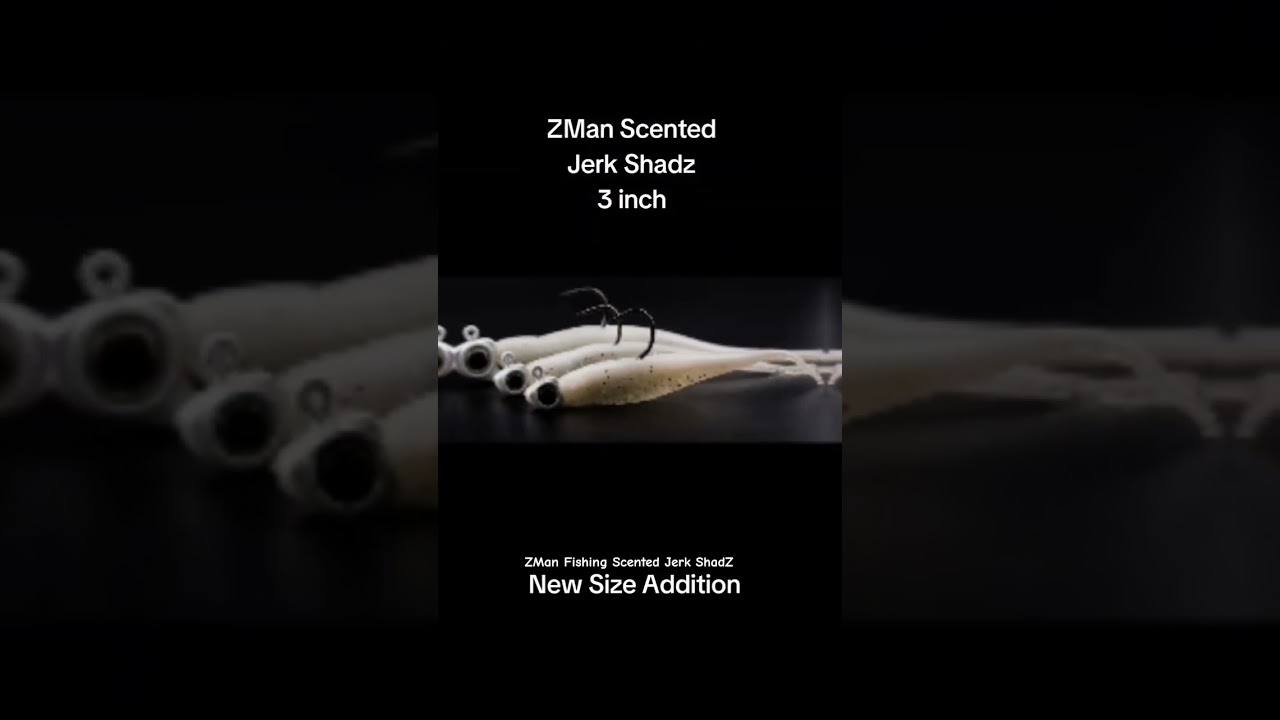 Bass Fishing Lure Scented ShadZ ZMan Fishing 