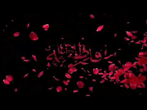 سید مجید بنی فاطمه روضه سوزناک حضرت زهرا سلام الله علیها
