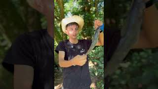 Pesca es en Río amazonas indiyama 😳 #fypシ #viral #parati