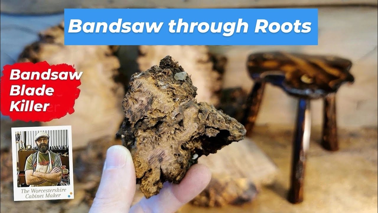 Cutting Tree Roots Bandsaw Blade killer & How to fold/coil a