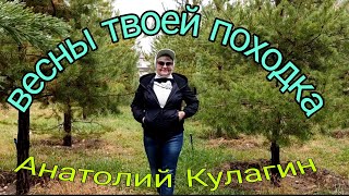 ВЕСНЫ ТВОЕЙ ПОХОДКА автор и исполнитель Анатолий Кулагин