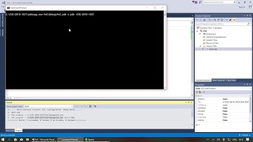 0patching Visual Studio PDB Information Leak (CVE-2018-1037)