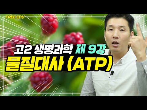 고2 생명과학 [9강]  물질대사 (동화작용,이화작용)