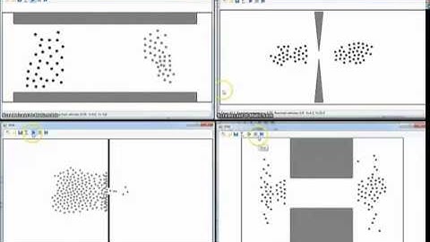 Qualitative Validation of the Social Force Model