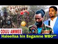Haleella Hin Eegamne WBO Jaal Marroo Fi Shimalis 3 30 2024 AGM OMN Manzuma 