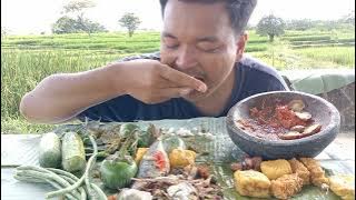 Mukbang di sisi sawah, asiknya makan ala pedesaan di pinggir sawah. Asmr, mukbang, viral