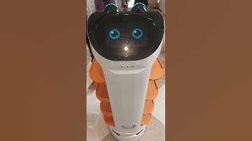 Mind-Blowing Robots from GITEX 2024 You Can
