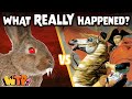 Napoleon's Unusual Encounter with Bunnies