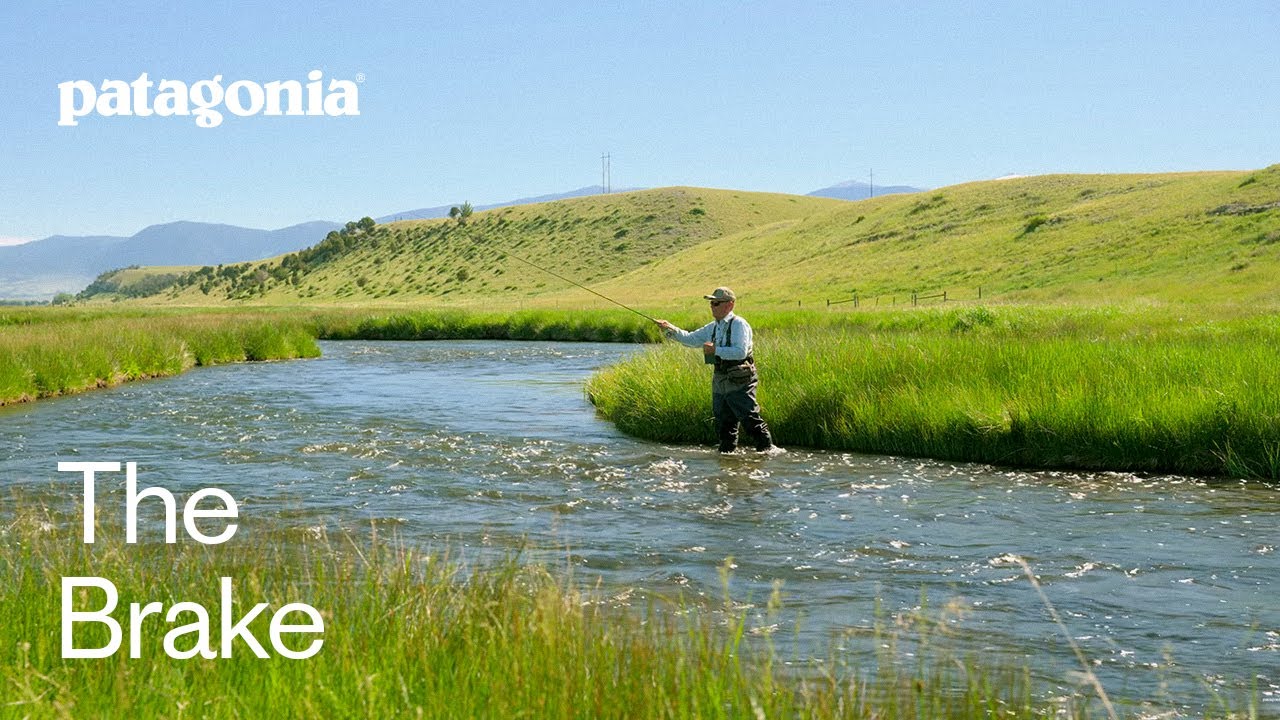 ブレーキの実演 by マウロ・マッツォ | フェザントテイル・シンプリシティ