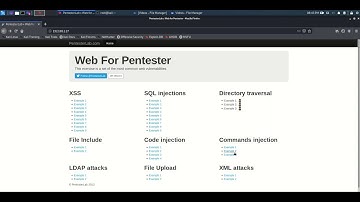 PentesterLab Command Injection Example2