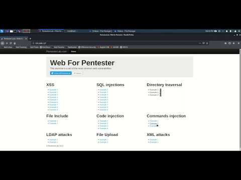 PentesterLab Command Injection Example2