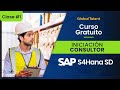 Iniciación Consultor SAP S/4HANA SD   1ra clases