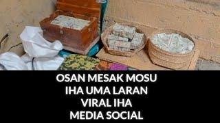 Kronologi Osan Mosu iha Ainaro Viral iha Media Social