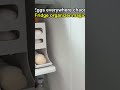 Eggs everywhere chaos Fridge organizer magic - Egg Dispenser Fridge #shorts #aliexpress #musthave #s