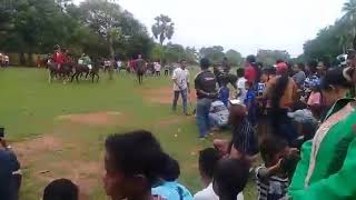 Pacuan kuda di sabu raijua